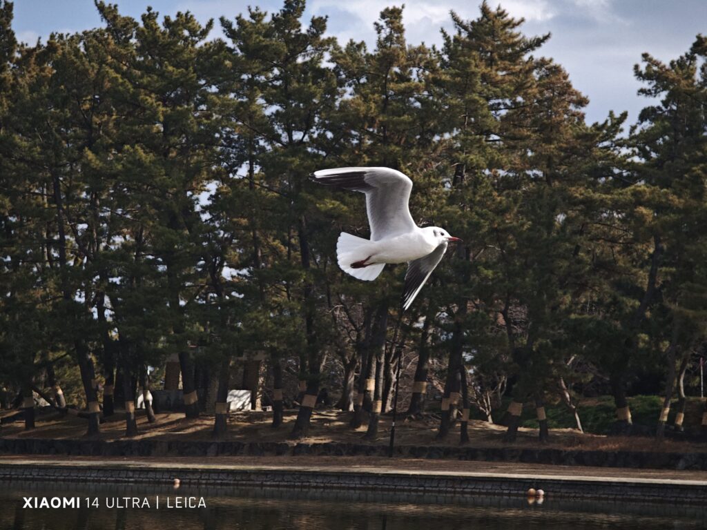 ～ 撮影記録 愛知県津島市 天王川公園 ～ vol.2