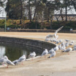 ～ 撮影記録 愛知県津島市の天王川公園 ～ vol.2