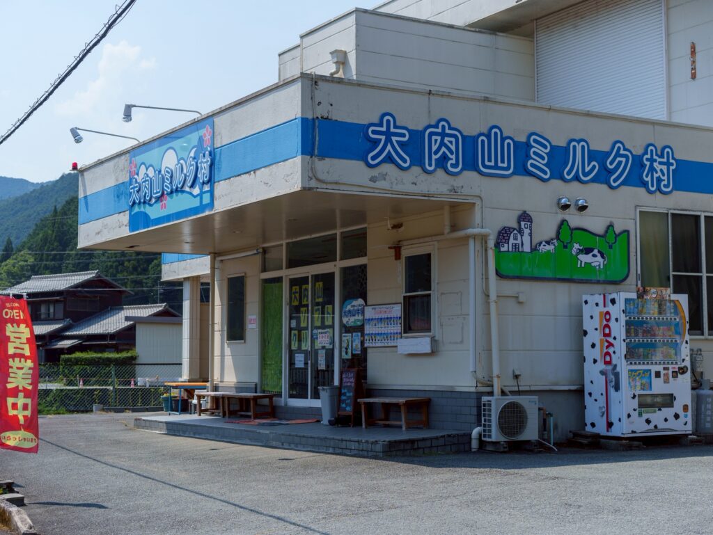 マンボウ食べてみた@紀北町 マンボウ食べてみた@紀北町
