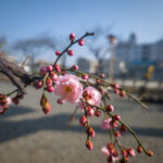 2026年2月 セキュリティアップデート完了しました。