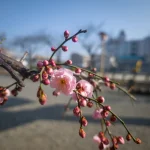 2026年2月 セキュリティアップデート完了しました。