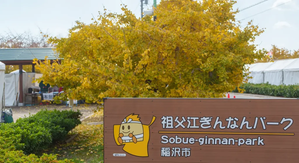 稲沢市の経営者様へ!ホームページを作るなら知っておきたい補助金・助成金の活用術 稲沢市の経営者様へ!ホームページを作るなら知っておきたい補助金・助成金の活用術