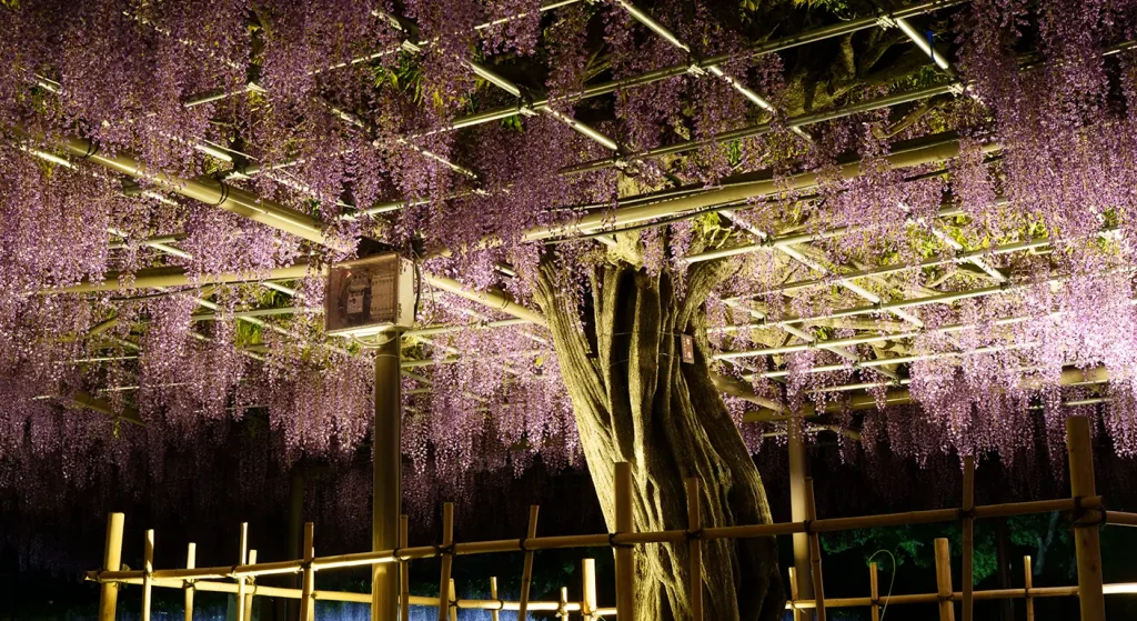 津島市で「想いが伝わる」写真が撮れないと悩む経営者様へ。プロが教える「撮影ディレクション」の大切な考え方