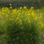 2026年3月 セキュリティアップデート完了しました。