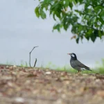 2026年4月 セキュリティアップデート完了しました。